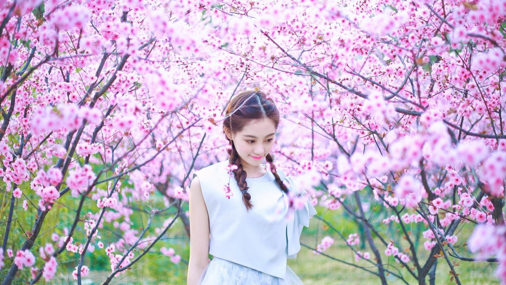 格纳布里封神夜！南部之星碾碎红牛，德国飞翼导演安联狂欢