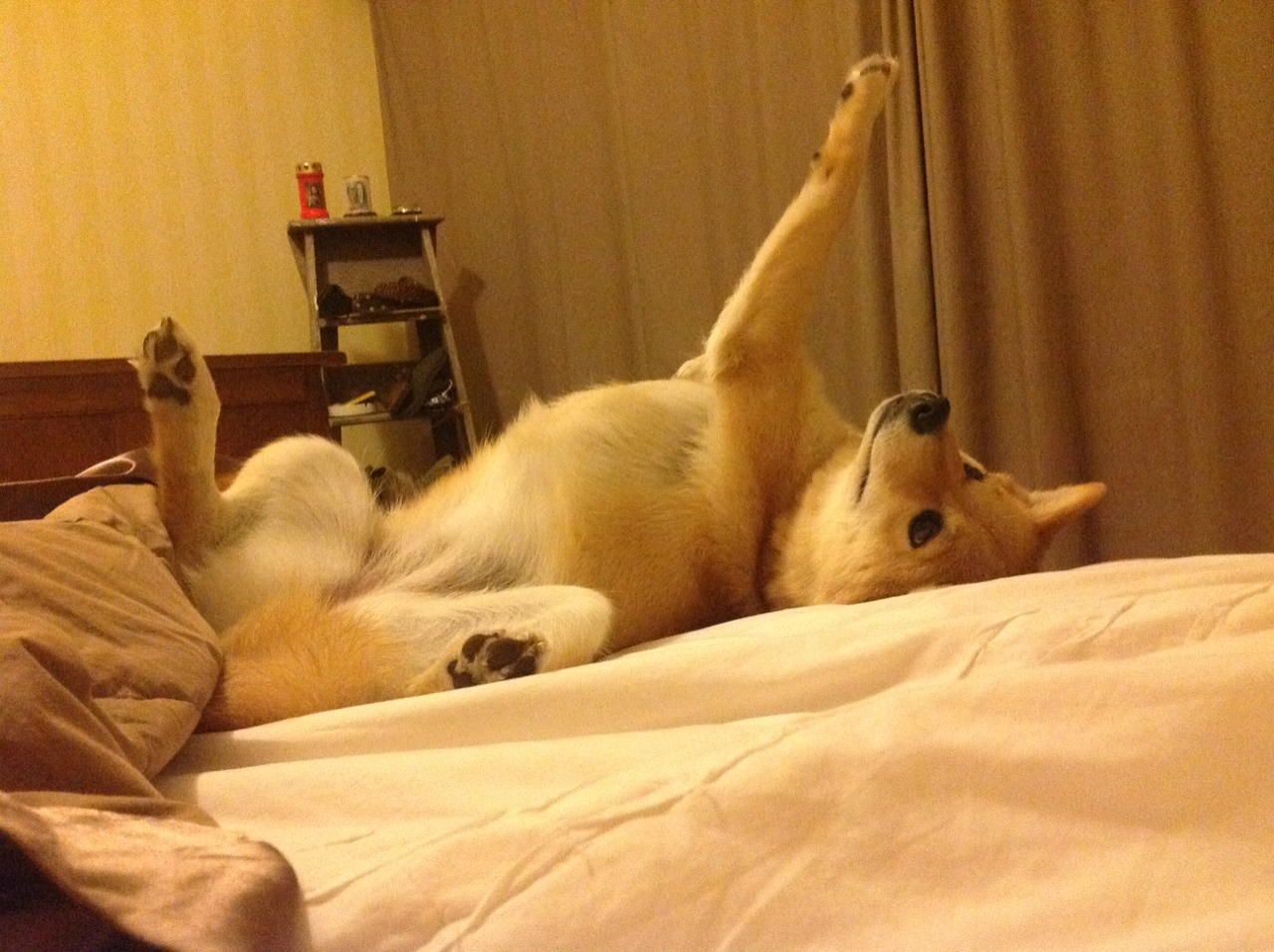 当哈利伯顿在布鲁克林按下暂停键，篮球世界开始倾听年轻心脏的轰鸣